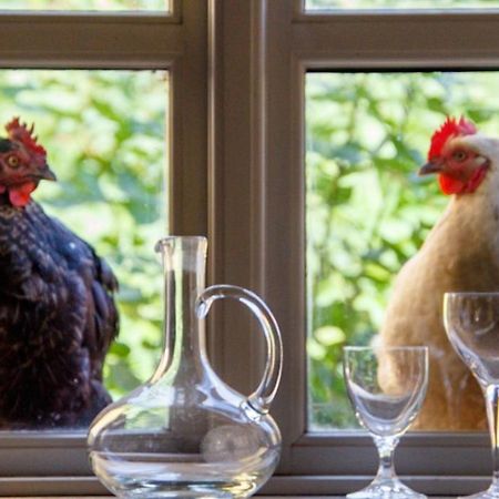 Lindenhof Chezartistes Hotel Loose Екстериор снимка